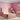 Meadows Kids Bed